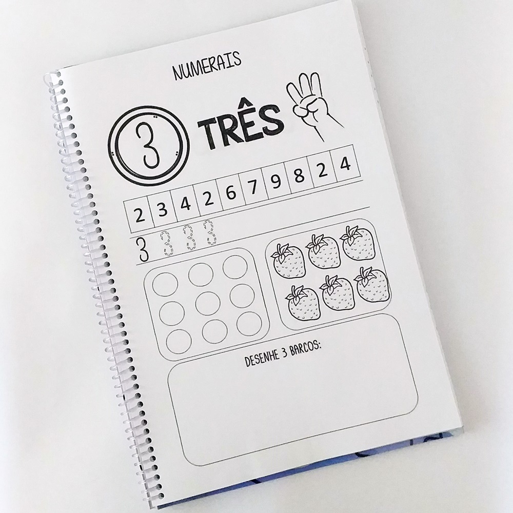 Apostila  A4 Meu livro de Atividades