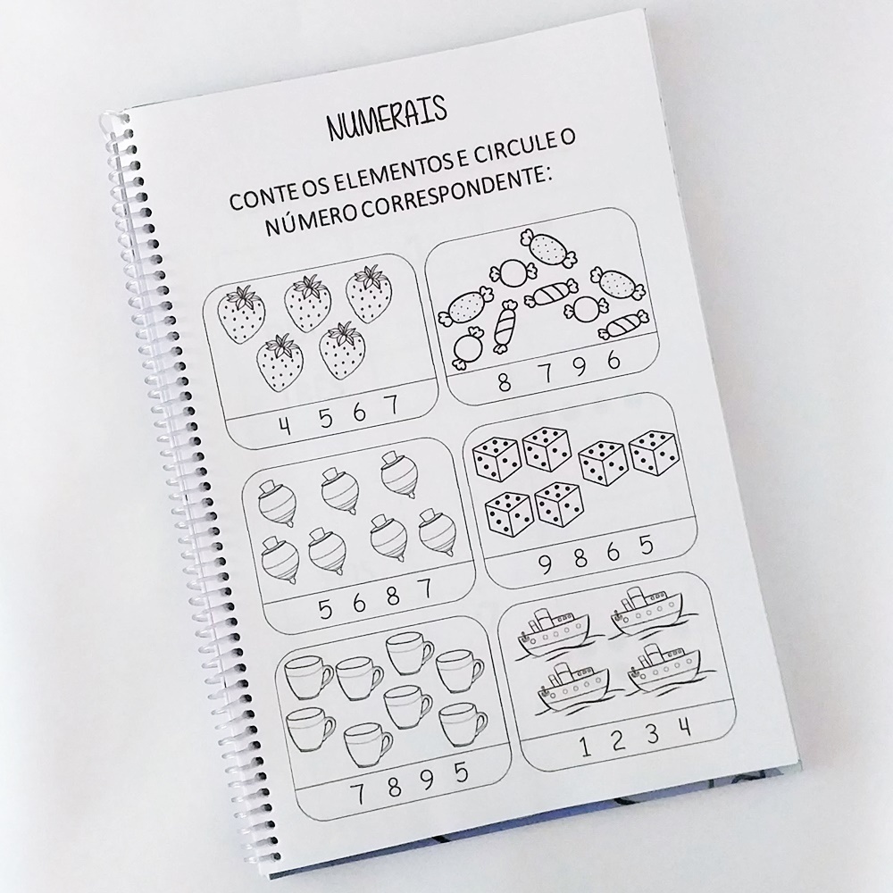 Apostila  A4 Meu livro de Atividades